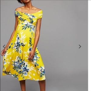 A Pea In The Pod Size 2 Maternity Dress